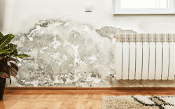 Wand im Wohnzimmer hat mit aufsteigender Feuchtigkeit zu tun
