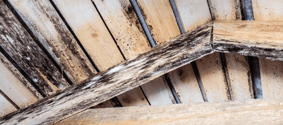 Holzfäule an einer hölzernen Dachkonstruktion